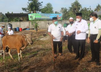 Serahkan Hewan Qurban Pada IPHI, Wagub : Qurban Perintah Allah SWT Bermanfaat untuk Sesama