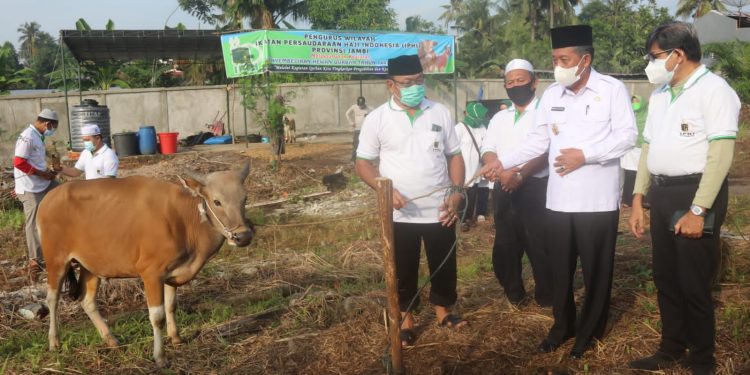Serahkan Hewan Qurban Pada IPHI, Wagub : Qurban Perintah Allah SWT Bermanfaat untuk Sesama