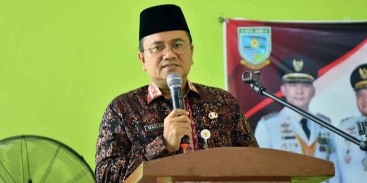 Maulana Berpeluang Besar di Pilwako 2024