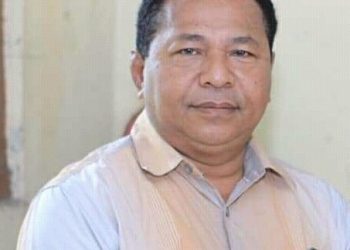 Potensi Akan Munculnya Kuda Hitam di Pilkada Sikka 2024 Sangat Besar