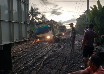 Jalan Provinsi Jambi Rusak Parah, Harap Perhatian dari Pemprov