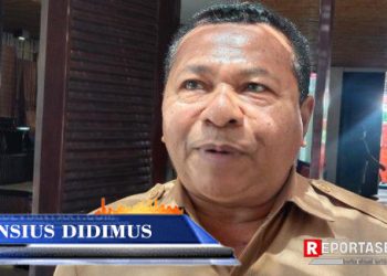 Ken Didimus Jadi Calon Kuat Bupati Sikka 2024 – 2029, Begini Katanya ?