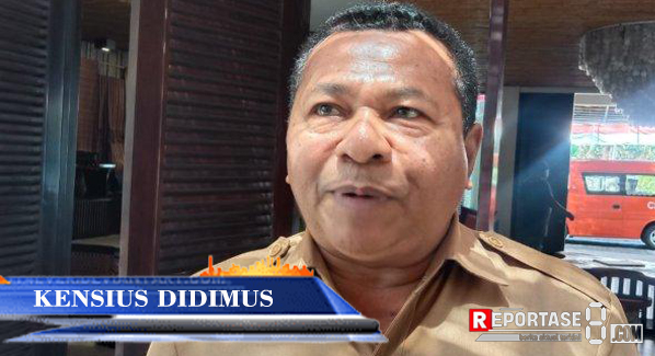 Ken Didimus Jadi Calon Kuat Bupati Sikka 2024 – 2029, Begini Katanya ?