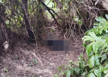 Sesosok Mayat Ditemukan di Kebun Durian di Desa Danau Lamo, Indentitas Belum Diketahui