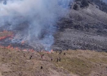 Kasus Kebakaran Kawasan Bromo, Polisi Belum Pastikan Ada Tersangka Baru