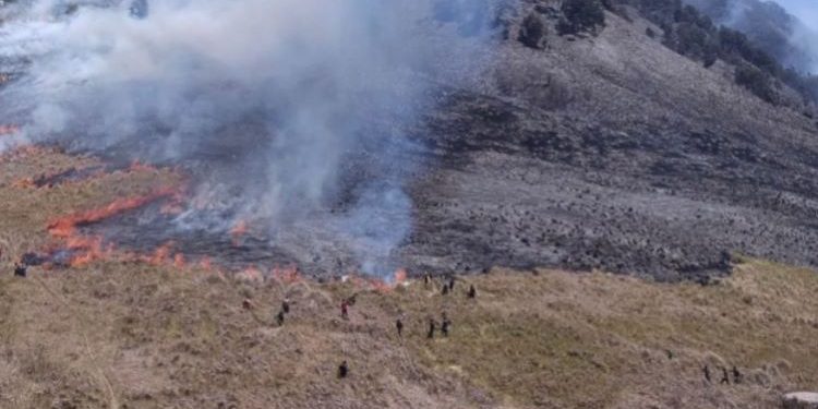 Kasus Kebakaran Kawasan Bromo, Polisi Belum Pastikan Ada Tersangka Baru