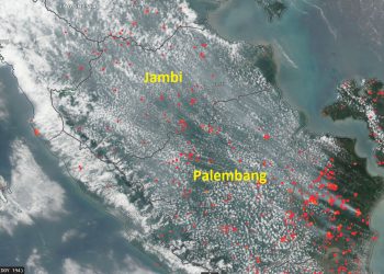 Situasi Terkini Kondisi Dampak Kabut Asap di Kota Jambi