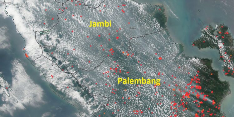 Situasi Terkini Kondisi Dampak Kabut Asap di Kota Jambi