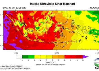 Dari Pantauan Satelit, BMKG Prediksi Jambi Masih Potensi Karhutla