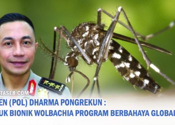 Komjen (Pol) Dharma Pongrekun: Nyamuk Bionik Wolbachia Program Berbahaya Globalis!