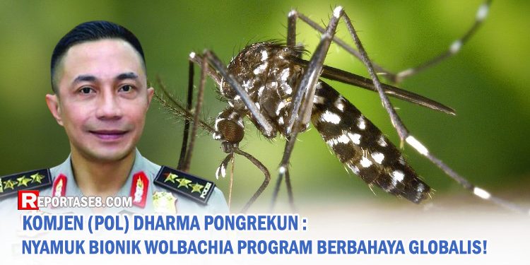 Komjen (Pol) Dharma Pongrekun: Nyamuk Bionik Wolbachia Program Berbahaya Globalis!