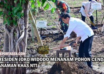 Tanam Pohon Bersama Masyarakat, Presiden: Ini Tindakan Nyata Hadapi Perubahan Iklim