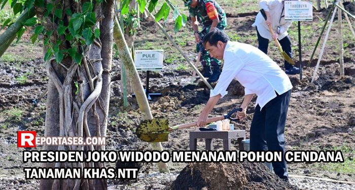 Tanam Pohon Bersama Masyarakat, Presiden: Ini Tindakan Nyata Hadapi Perubahan Iklim