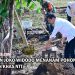 Tanam Pohon Bersama Masyarakat, Presiden: Ini Tindakan Nyata Hadapi Perubahan Iklim