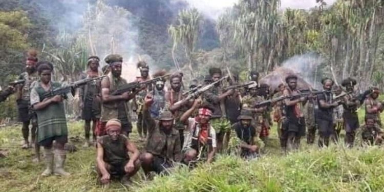 TNI Tembak Mati Dua Anggota KKB Pimpinan Undius Kogoya