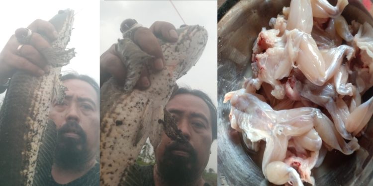 Serba Serbi Manfaat Hobi Memancing Ikan