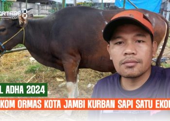 Peringati Hari Idul Adha 1445 H, Forkom Ormas Kota Jambi Gelar Kurban Satu Ekor Sapi