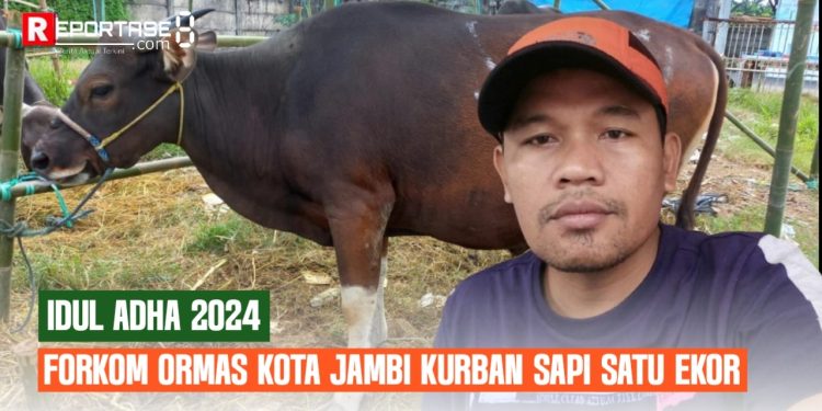 Peringati Hari Idul Adha 1445 H, Forkom Ormas Kota Jambi Gelar Kurban Satu Ekor Sapi