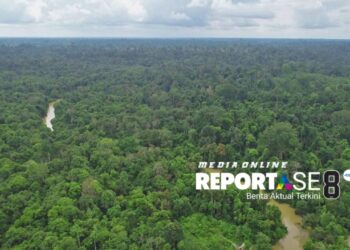 Resmi…..!!! 8 Perusahaan Pemegang Izin Konsesi Kawasan Hutan di Jambi Dicabut oleh Menhut