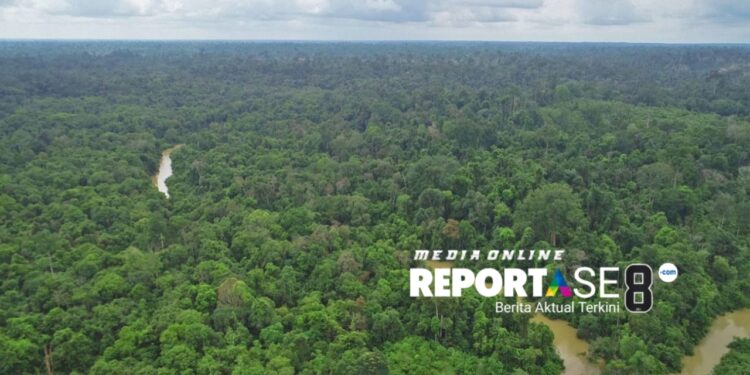 Resmi…..!!! 8 Perusahaan Pemegang Izin Konsesi Kawasan Hutan di Jambi Dicabut oleh Menhut
