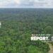 Resmi…..!!! 8 Perusahaan Pemegang Izin Konsesi Kawasan Hutan di Jambi Dicabut oleh Menhut