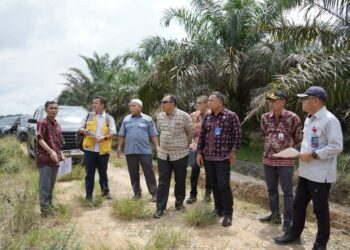 Sekda Budhi Hartono Tinjau Lokasi Rencana Pembangunan Gedung Sekolah Rakyat