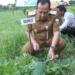 Bupati Muara Jambi BBS Resmi Membuka Acara Panen Raya Buah Semangka