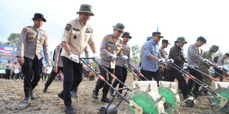 Tanam Raya Jagung Serentak Kuartal I Pemkab Muaro Jambi Sinergi Bersama Polri Dalam Rangka Kawal Ketahanan Pangan Nasional