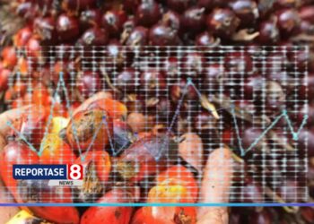 Harga Minyak Nabati Dunia Melonjak 21,5 Persen, FAO Soroti Pasokan Sawit yang Ketat