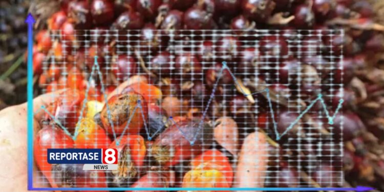 Harga Minyak Nabati Dunia Melonjak 21,5 Persen, FAO Soroti Pasokan Sawit yang Ketat