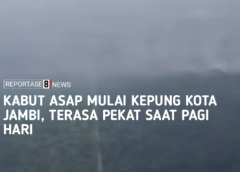 Karhutla Jambi Makin Mengkhawatirkan, Lahan Terbakar Tembus 300 Hektare, Kabut Asap Mulai Selimuti Kota