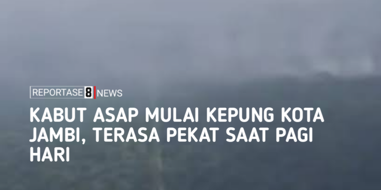 Karhutla Jambi Makin Mengkhawatirkan, Lahan Terbakar Tembus 300 Hektare, Kabut Asap Mulai Selimuti Kota