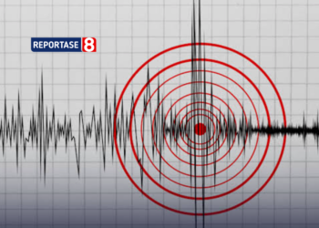 Gempa M 7,7 Guncang Nagekeo, Korban Jiwa Dilaporkan Bertambah