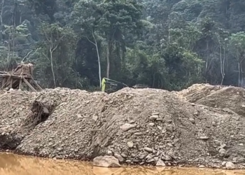 Dugaan PETI Rusak Hutan TNKS di Kerinci Publik Bertanya Siapa yang Bertanggung Jawab?