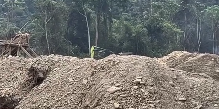 Dugaan PETI Rusak Hutan TNKS di Kerinci Publik Bertanya Siapa yang Bertanggung Jawab?