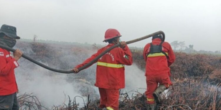 Karhutla Masih Meluas di Jambi, Api Bertahan di Tahura Orang Kayo Hitam dan Tanjung Jabung Timur